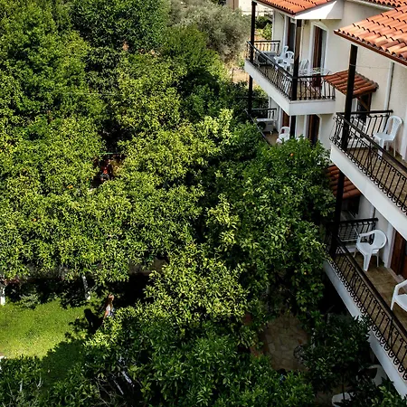 Apartment Oasis *
