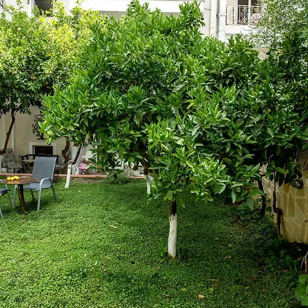Oasis