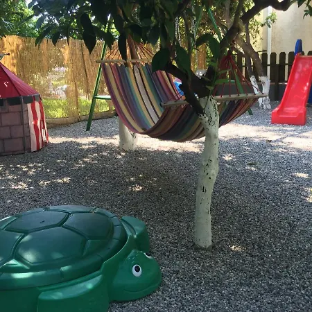 Oasis *