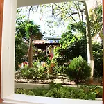 Oasis Τολό
