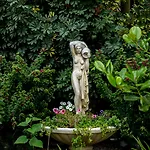 Oasis *