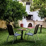 Oasis * Τολό