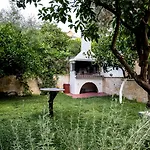 Oasis