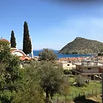 Oasis *