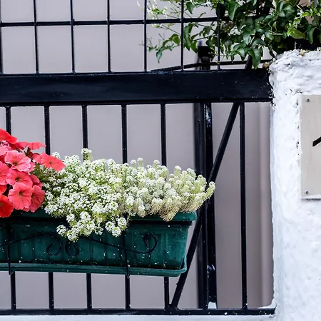 Oasis Appartamento Tolón