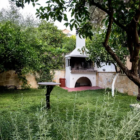Oasis