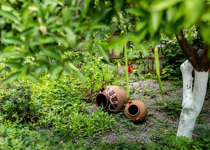Oasis トロン